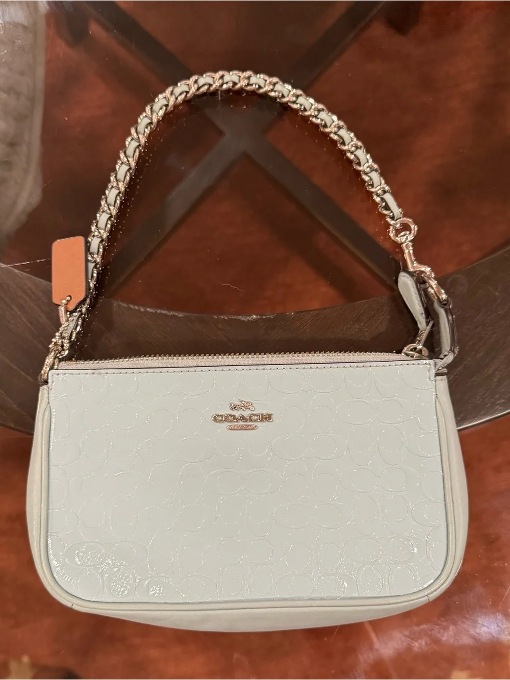 Coach Seafoam/mint mini bag with silver chain & leather strap